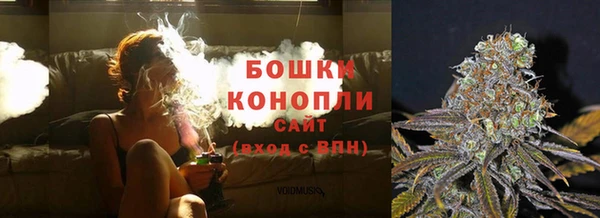 мдпв Барнаул