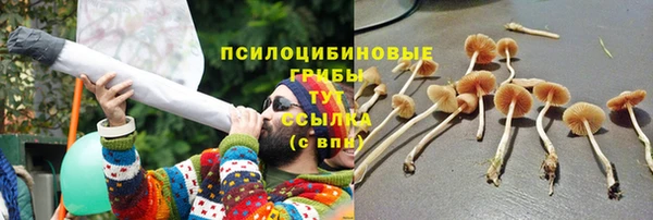 спайс Тольятти